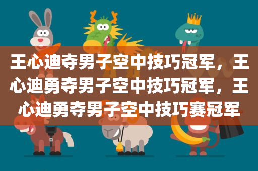 王心迪夺男子空中技巧冠军，王心迪勇夺男子空中技巧冠军，王心迪勇夺男子空中技巧赛冠军