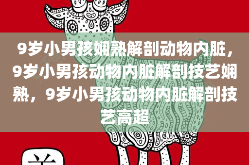 9岁小男孩娴熟解剖动物内脏，9岁小男孩动物内脏解剖技艺娴熟，9岁小男孩动物内脏解剖技艺高超