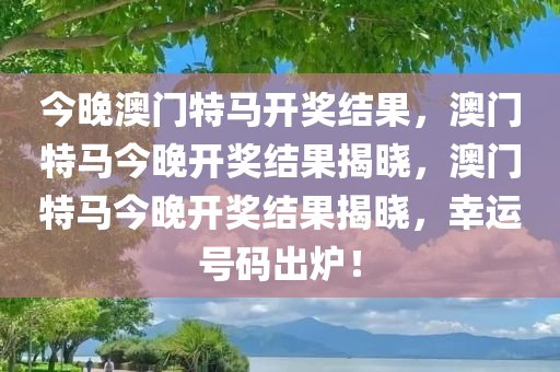 今晚澳门特马开奖结果，澳门特马今晚开奖结果揭晓，澳门特马今晚开奖结果揭晓，幸运号码出炉！