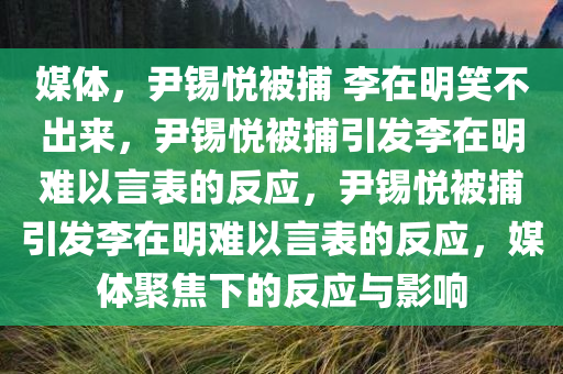 媒体，尹锡悦被捕 李在明笑不出来，尹锡悦被捕引发李在明难以言表的反应，尹锡悦被捕引发李在明难以言表的反应，媒体聚焦下的反应与影响