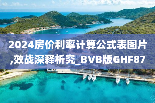 2024房价利率计算公式表图片,效战深释析究_BVB版GHF87