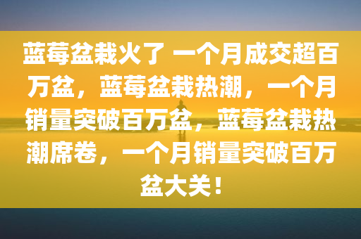 蓝莓盆栽火了 一个月成交超百万盆，蓝莓盆栽热潮，一个月销量突破百万盆，蓝莓盆栽热潮席卷，一个月销量突破百万盆大关！
