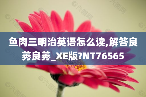 鱼肉三明治英语怎么读,解答良莠良莠_XE版?NT76565