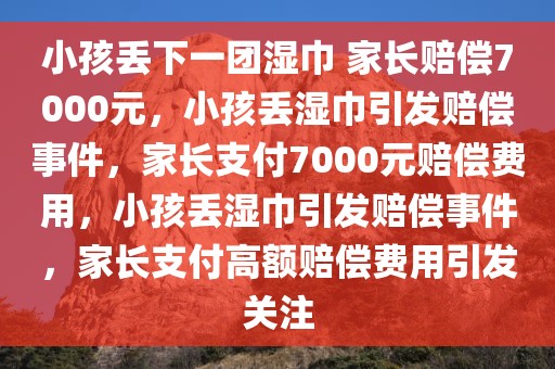 小孩丢下一团湿巾 家长赔偿7000元，小孩丢湿巾引发赔偿事件，家长支付7000元赔偿费用，小孩丢湿巾引发赔偿事件，家长支付高额赔偿费用引发关注