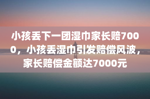 小孩丢下一团湿巾家长赔7000，小孩丢湿巾引发赔偿风波，家长赔偿金额达7000元