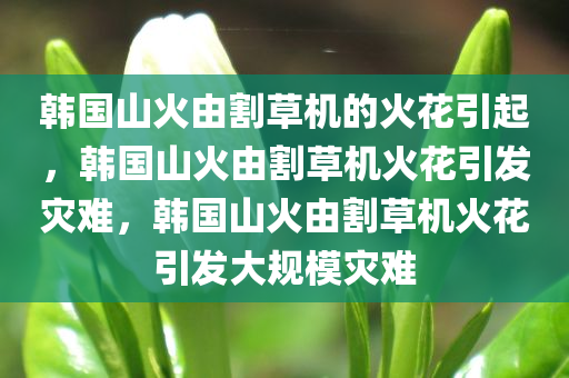 韩国山火由割草机的火花引起，韩国山火由割草机火花引发灾难，韩国山火由割草机火花引发大规模灾难