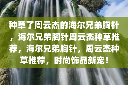 种草了周云杰的海尔兄弟胸针，海尔兄弟胸针周云杰种草推荐，海尔兄弟胸针，周云杰种草推荐，时尚饰品新宠！