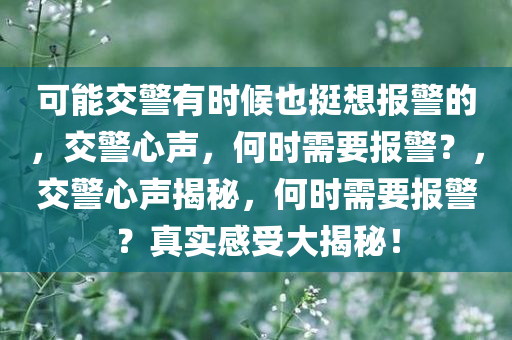 可能交警有时候也挺想报警的，交警心声，何时需要报警？，交警心声揭秘，何时需要报警？真实感受大揭秘！