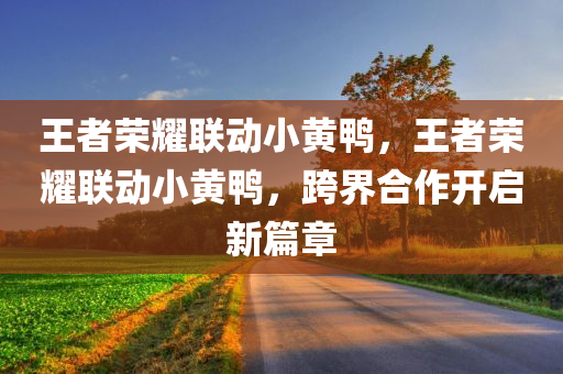 王者荣耀联动小黄鸭，王者荣耀联动小黄鸭，跨界合作开启新篇章，王者荣耀联动小黄鸭，开启跨界合作新纪元
