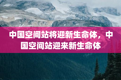 中国空间站将迎新生命体，中国空间站迎来新生命体，中国空间站迎来新生命体实验样本