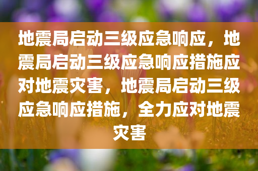 地震局启动三级应急响应，地震局启动三级应急响应措施应对地震灾害，地震局启动三级应急响应措施，全力应对地震灾害