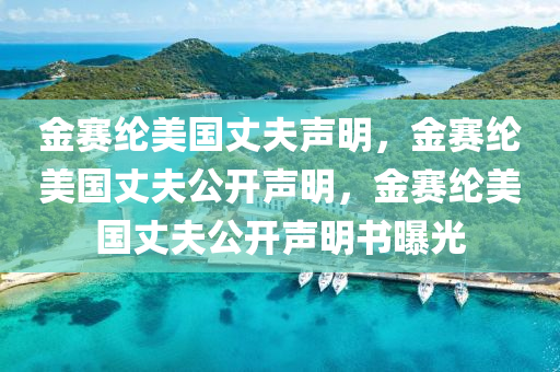 金赛纶美国丈夫声明，金赛纶美国丈夫公开声明，金赛纶美国丈夫公开声明书曝光