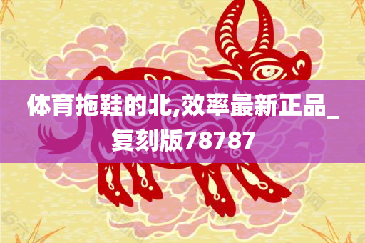 体育拖鞋的北,效率最新正品_复刻版78787