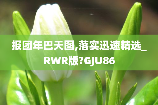 报团年巴天图,落实迅速精选_RWR版?GJU86