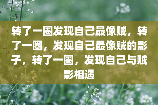 转了一圈发现自己最像贼，转了一圈，发现自己最像贼的影子，转了一圈，发现自己与贼影相遇
