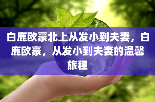 白鹿欧豪北上从发小到夫妻，白鹿欧豪，从发小到夫妻的温馨旅程今晚必出三肖2025_2025新澳门精准免费提供·精确判断