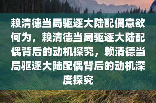 赖清德当局驱逐大陆配偶意欲何为，赖清德当局驱逐大陆配偶背后的动机探究，赖清德当局驱逐大陆配偶背后的动机深度探究