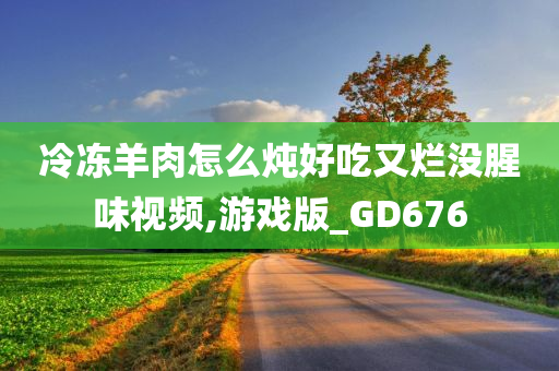 冷冻羊肉怎么炖好吃又烂没腥味视频,游戏版_GD676
