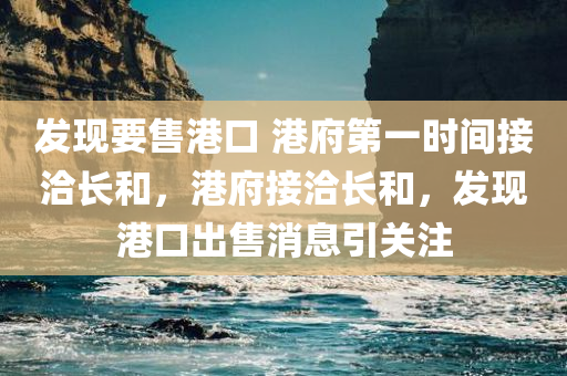 发现要售港口 港府第一时间接洽长和，港府接洽长和，发现港口出售消息引关注