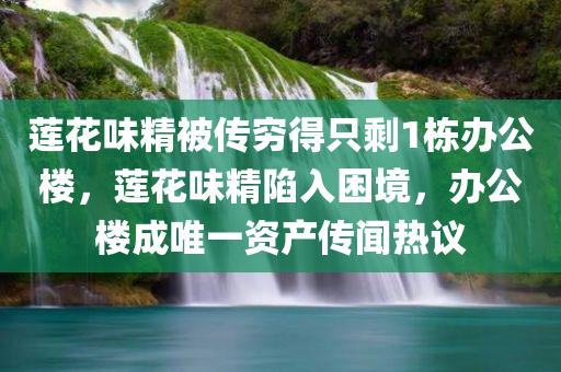 莲花味精被传穷得只剩1栋办公楼，莲花味精陷入困境，办公楼成唯一资产传闻热议