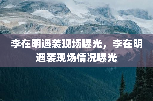 李在明遇袭现场曝光，李在明遇袭现场情况曝光，李在明遇袭现场揭秘，情况曝光