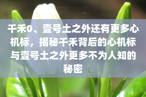 千禾0、壹号土之外还有更多心机标，揭秘千禾背后的心机标与壹号土之外更多不为人知的秘密，揭秘千禾背后的心机标与壹号土之外不为人知的秘密探索