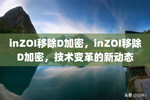 inZOI移除D加密，inZOI移除D加密，技术变革的新动态