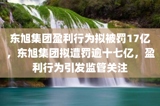 东旭集团盈利行为拟被罚17亿，东旭集团拟遭罚逾十七亿，盈利行为引发监管关注