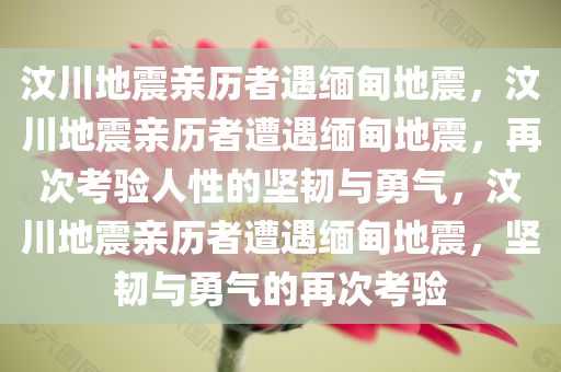 汶川地震亲历者遇缅甸地震，汶川地震亲历者遭遇缅甸地震，再次考验人性的坚韧与勇气，汶川地震亲历者遭遇缅甸地震，坚韧与勇气的再次考验