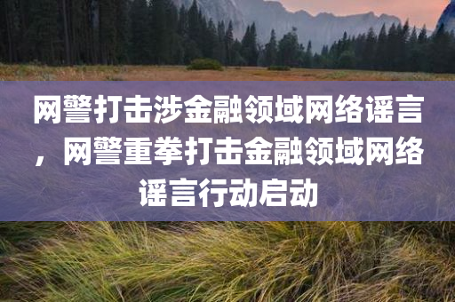 网警打击涉金融领域网络谣言，网警重拳打击金融领域网络谣言行动启动
