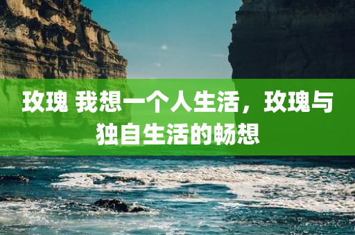 玫瑰 我想一个人生活，玫瑰与独自生活的畅想