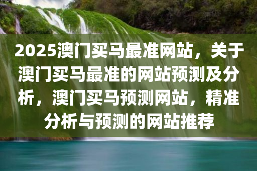 2025澳门买马最准网站，关于澳门买马最准的网站预测及分析，澳门买马预测网站，精准分析与预测的网站推荐
