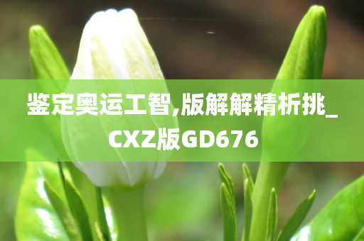 鉴定奥运工智,版解解精析挑_CXZ版GD676