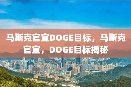 马斯克官宣DOGE目标，马斯克官宣，DOGE目标揭秘