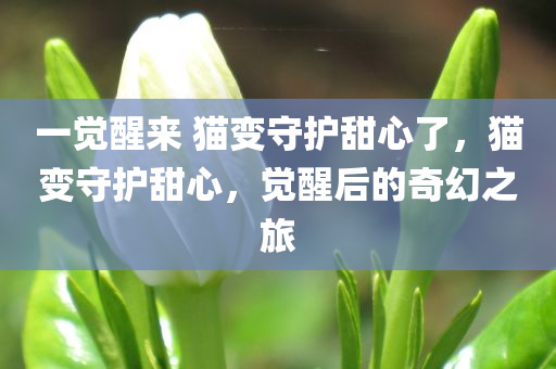 一觉醒来 猫变守护甜心了，猫变守护甜心，觉醒后的奇幻之旅