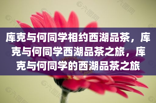 库克与何同学相约西湖品茶，库克与何同学西湖品茶之旅，库克与何同学的西湖品茶之旅