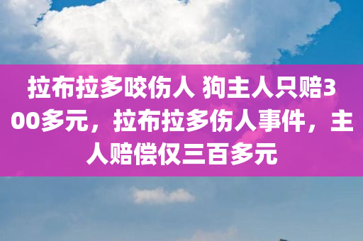 拉布拉多咬伤人 狗主人只赔300多元，拉布拉多伤人事件，主人赔偿仅三百多元