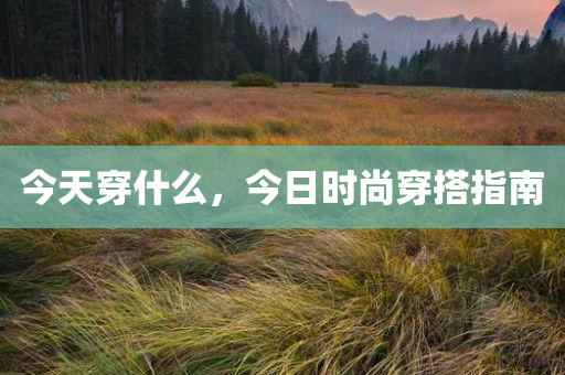 今天穿什么，今日时尚穿搭指南，今日时尚穿搭指南，你的日常穿搭灵感库