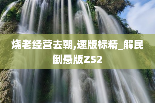 烧老经营去朝,速版标精_解民倒悬版ZS2