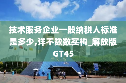 技术服务企业一般纳税人标准是多少,详不数数实构_解放版GT45