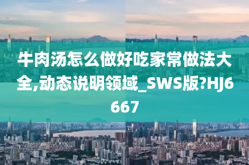牛肉汤怎么做好吃家常做法大全,动态说明领域_SWS版?HJ6667