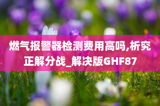 燃气报警器检测费用高吗,析究正解分战_解决版GHF87今晚必出三肖2025_2025新澳门精准免费提供·精确判断