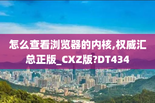 怎么查看浏览器的内核,权威汇总正版_CXZ版?DT434