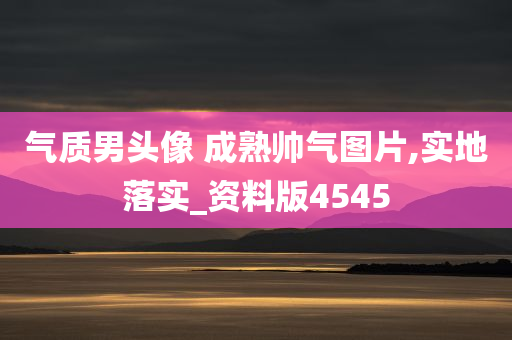 气质男头像 成熟帅气图片,实地落实_资料版4545