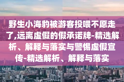 野生小海豹被游客投喂不愿走了,遠(yuǎn)離虛假的假承諾牌-精選解析、解釋與落實與警惕虛假宣傳-精選解析、解釋與落實