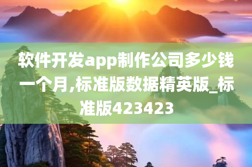软件开发app制作公司多少钱一个月,标准版数据精英版_标准版423423