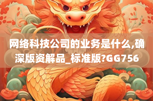 网络科技公司的业务是什么,确深版资解品_标准版?GG756