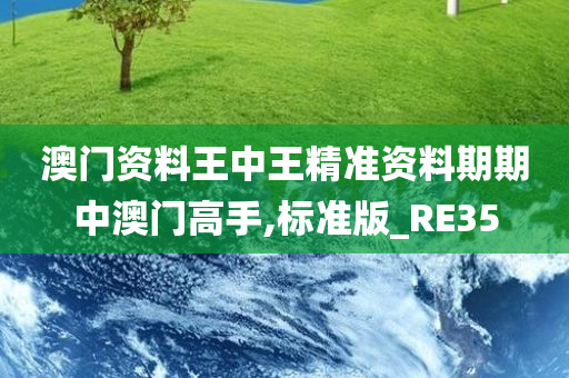 澳门资料王中王精准资料期期中澳门高手,标准版_RE35