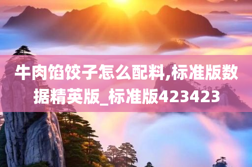 牛肉馅饺子怎么配料,标准版数据精英版_标准版423423