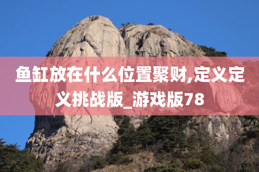 鱼缸放在什么位置聚财,定义定义挑战版_游戏版78